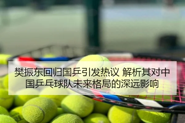樊振东回归国乒引发热议 解析其对中国乒乓球队未来格局的深远影响
