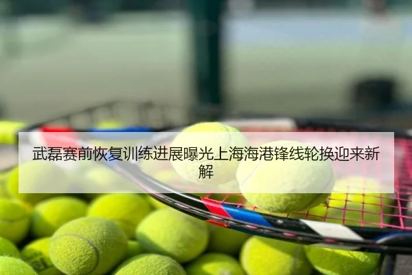 武磊赛前恢复训练进展曝光上海海港锋线轮换迎来新解